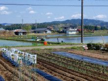 ばななくんのリフォームブログ