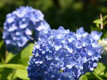 ばななくんのリフォームブログ