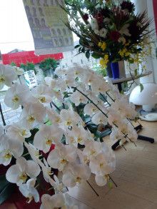 ばななくんのリフォームブログ