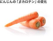 ドクターリフォームサンセイ スタッフブログ　　