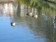 ドクターリフォームサンセイ スタッフブログ　　