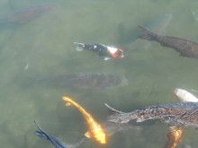 ドクターリフォームサンセイ スタッフブログ　　