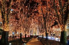 ドクターリフォームサンセイ スタッフブログ　　