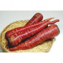 ドクターリフォームサンセイ スタッフブログ　　