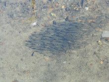 ドクターリフォームサンセイ スタッフブログ　　