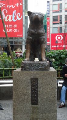 ドクターリフォームサンセイ スタッフブログ　　