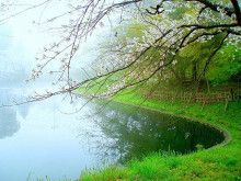 ドクターリフォームサンセイ スタッフブログ　　