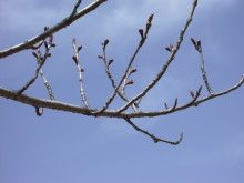 ドクターリフォームサンセイ スタッフブログ　　