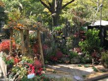 ドクターリフォームサンセイ スタッフブログ　　