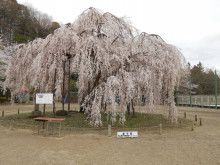 ドクターリフォームサンセイ スタッフブログ　　