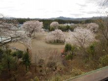 ドクターリフォームサンセイ スタッフブログ　　