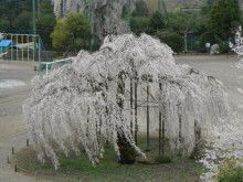 ドクターリフォームサンセイ スタッフブログ　　