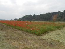 ドクターリフォームサンセイ スタッフブログ　　