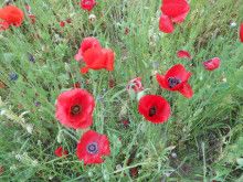 ドクターリフォームサンセイ スタッフブログ　　