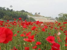 ドクターリフォームサンセイ スタッフブログ　　