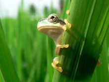 ドクターリフォームサンセイ スタッフブログ　　