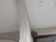 $ドクターリフォームサンセイ スタッフブログ　　