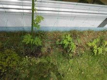 ドクターリフォームサンセイ スタッフブログ　　