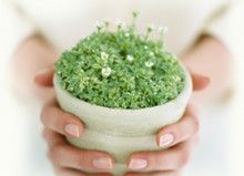 ドクターリフォームサンセイ スタッフブログ　　