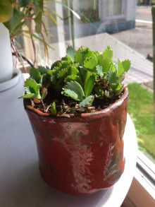 ドクターリフォームサンセイ スタッフブログ　　