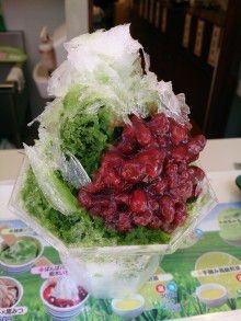 ドクターリフォームサンセイ スタッフブログ　　