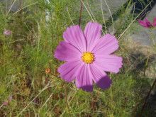 ドクターリフォームサンセイ スタッフブログ　　