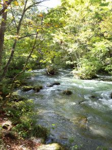 ドクターリフォームサンセイ スタッフブログ　　