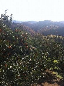 $ドクターリフォームサンセイ スタッフブログ　　