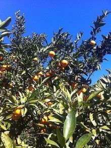 $ドクターリフォームサンセイ スタッフブログ　　