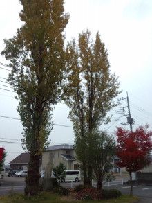 ドクターリフォームサンセイ スタッフブログ　　