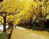 ドクターリフォームサンセイ スタッフブログ　　