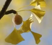 ドクターリフォームサンセイ スタッフブログ　　