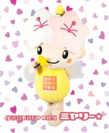 ドクターリフォームサンセイ スタッフブログ