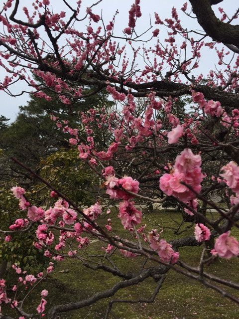 {1FDF14D5-A793-4FE0-91F0-B4FBBCCC335E}