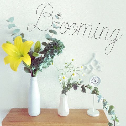 {E2E629E9-EDBD-431B-A402-54AD192B1F9F}